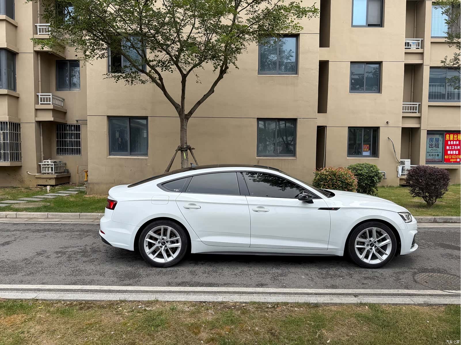 Audi A5, 2020 4