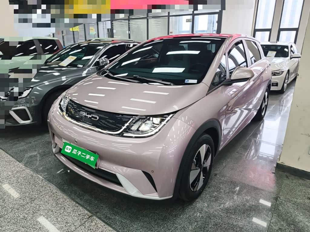 BYD Dolphin