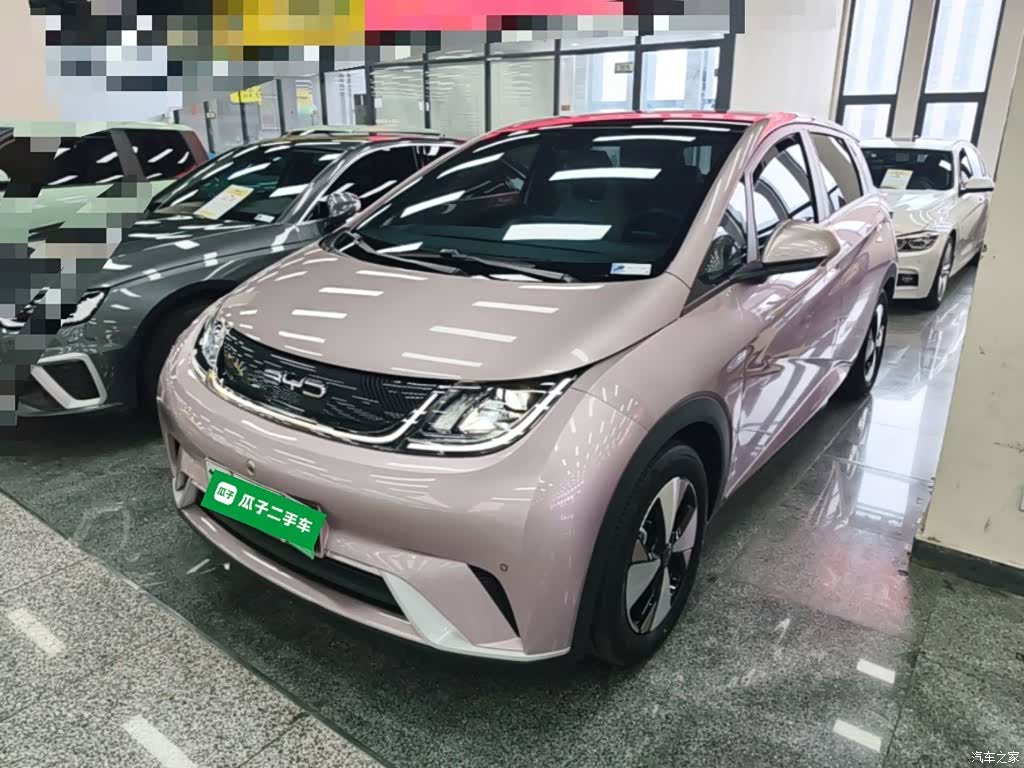 BYD Dolphin, 2023 1
