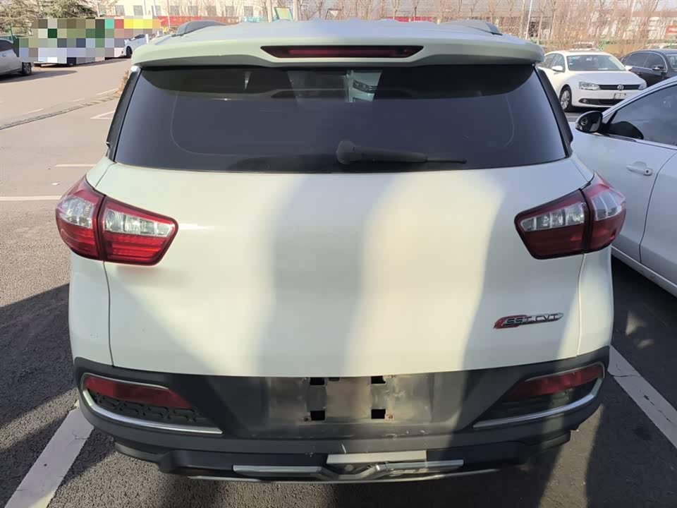 Leopaard Cheetah CS9