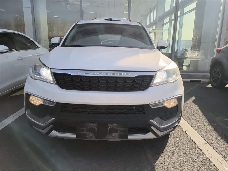 Leopaard Cheetah CS9