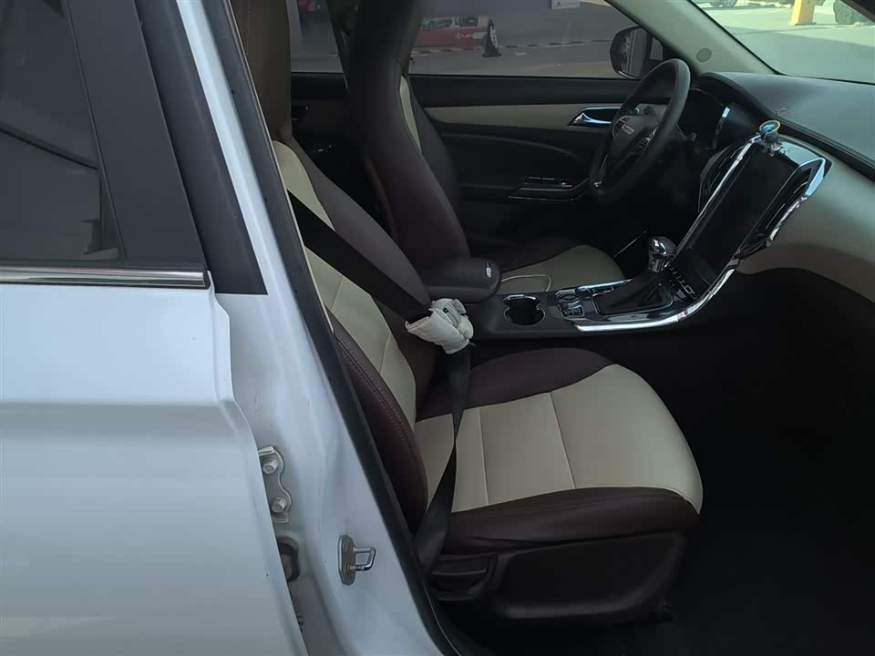 Leopaard Cheetah CS9