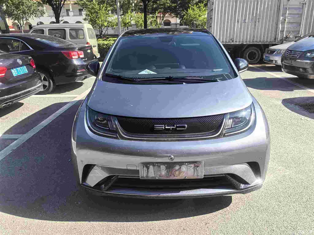 BYD Dolphin, 2023 2