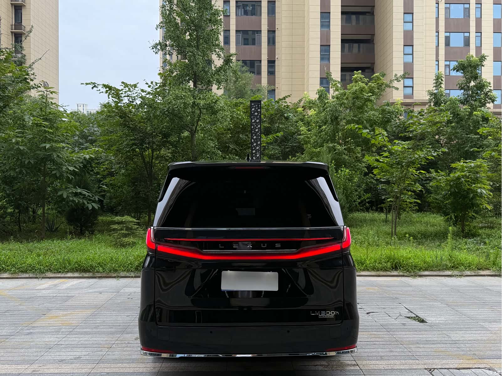 Lexus LM, 2024 6
