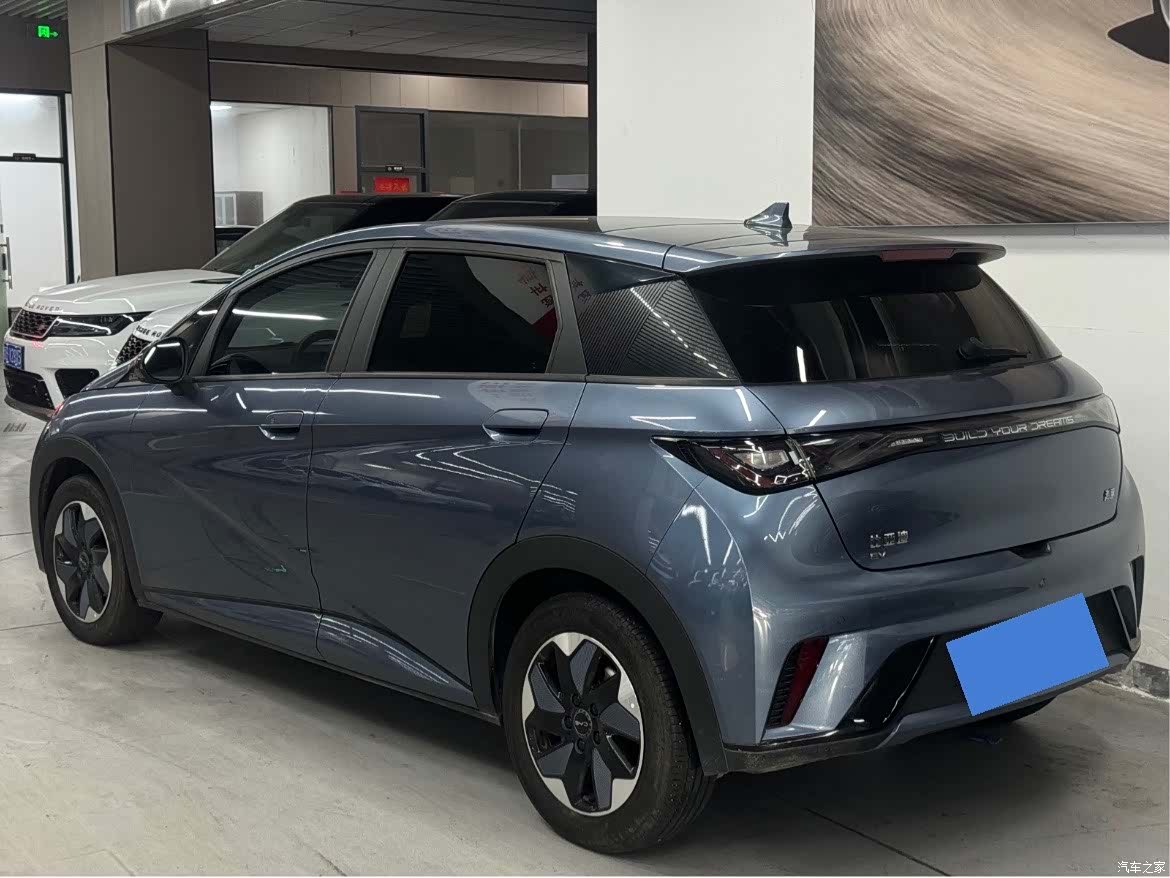 BYD Dolphin, 2024 7