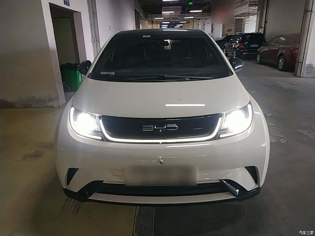 BYD Dolphin, 2023 3
