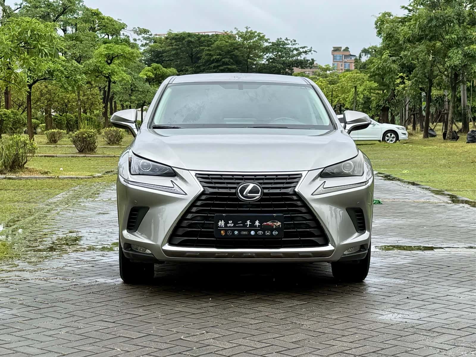 Lexus NX, 2020 2