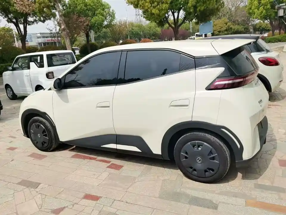 BYD Seagull