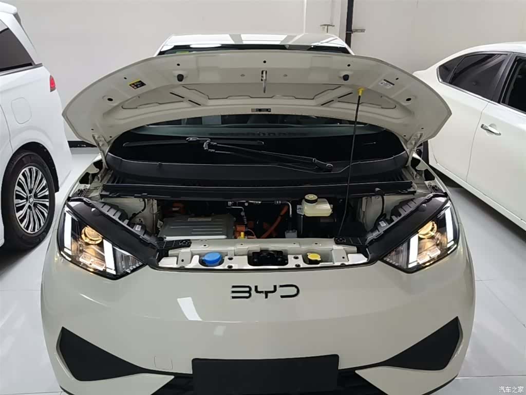 BYD Seagull, 2026 20