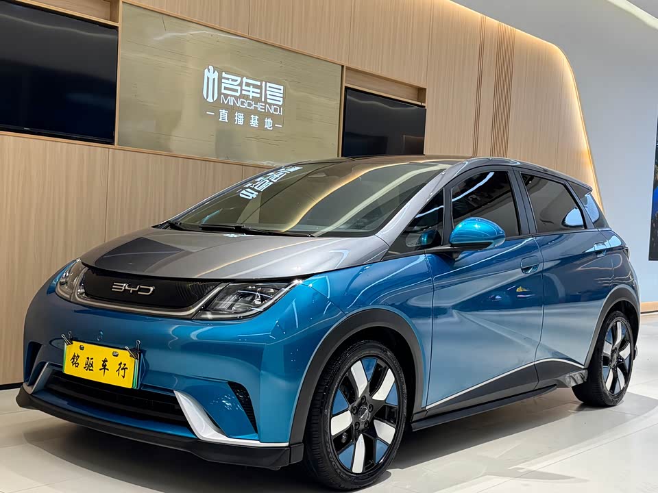 BYD dolphin