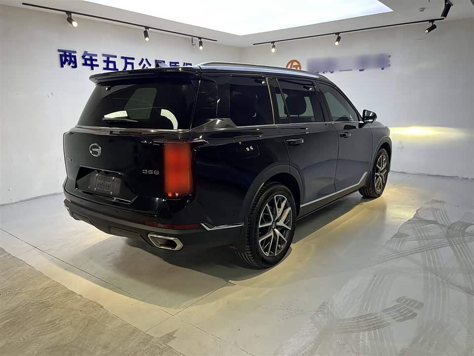 Trumpchi Trumpchi GS8