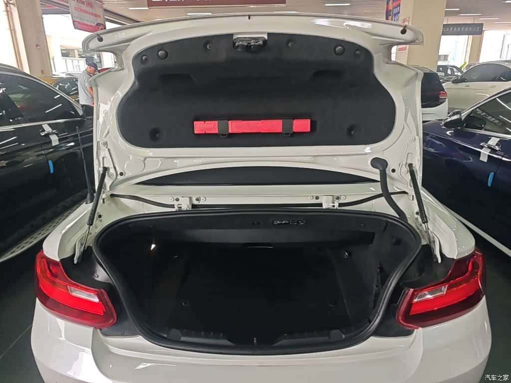 BMW 2 Series, 2016 19