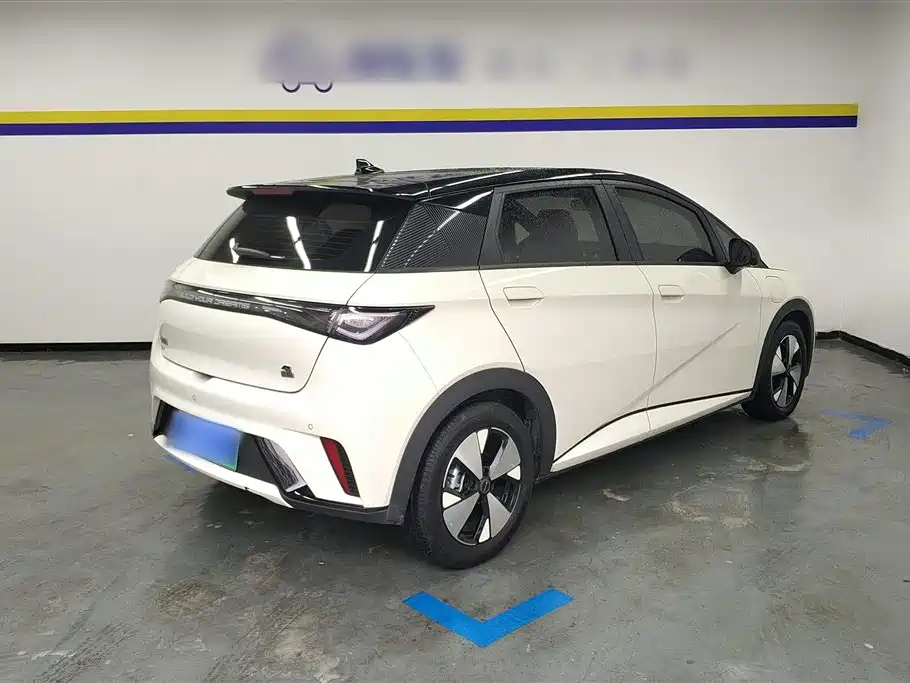BYD dolphin BYD dolphin