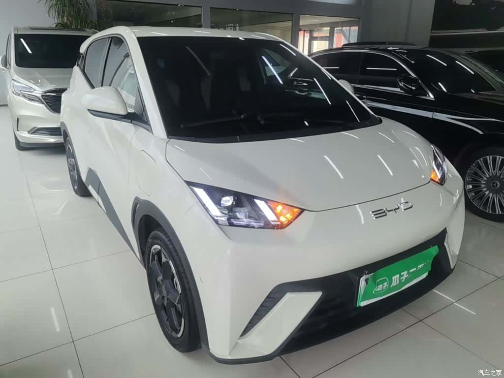 BYD Seagull, 2024 4