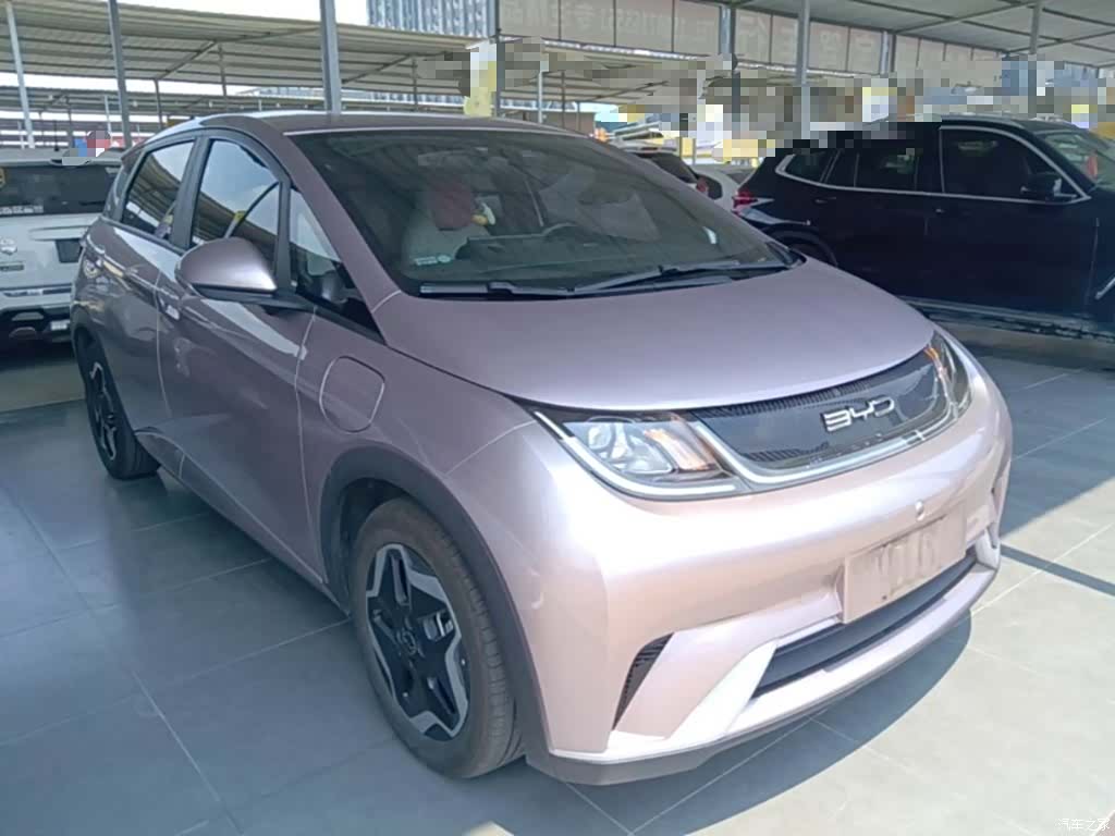 BYD Dolphin, 2022 4