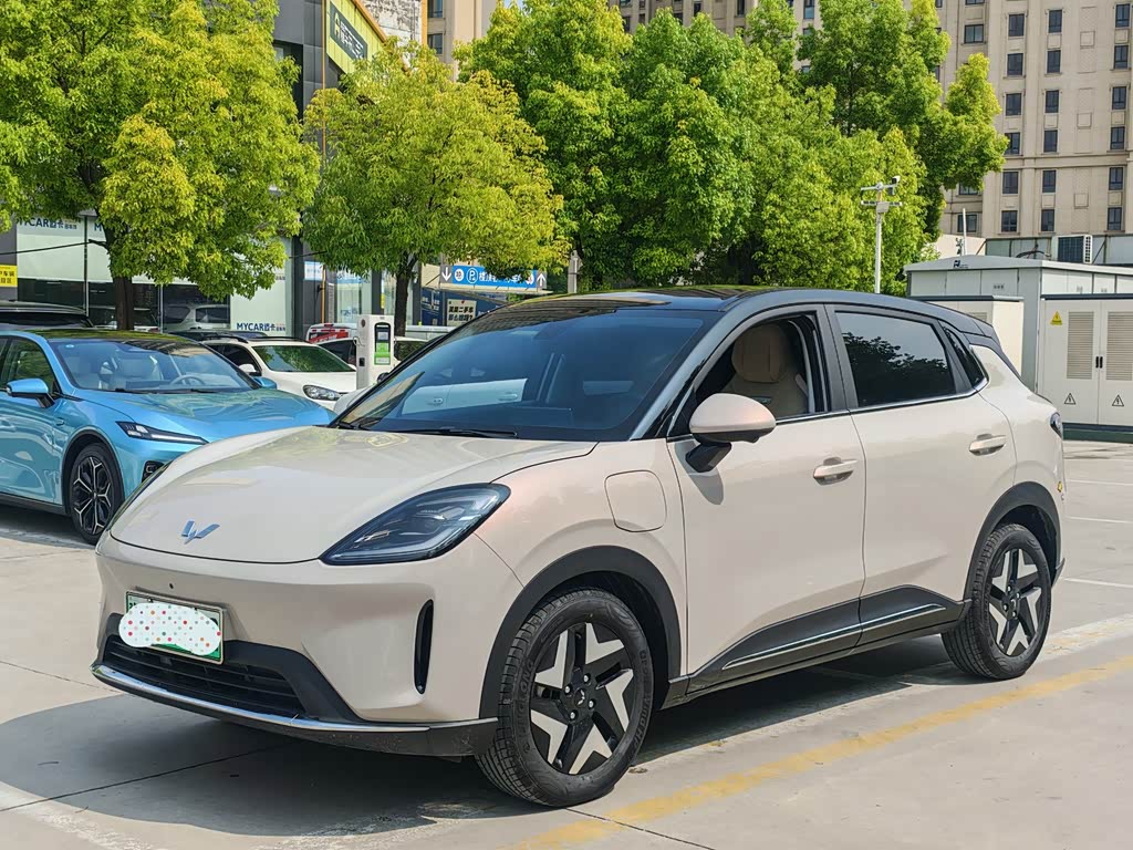 Wuling BinguoS