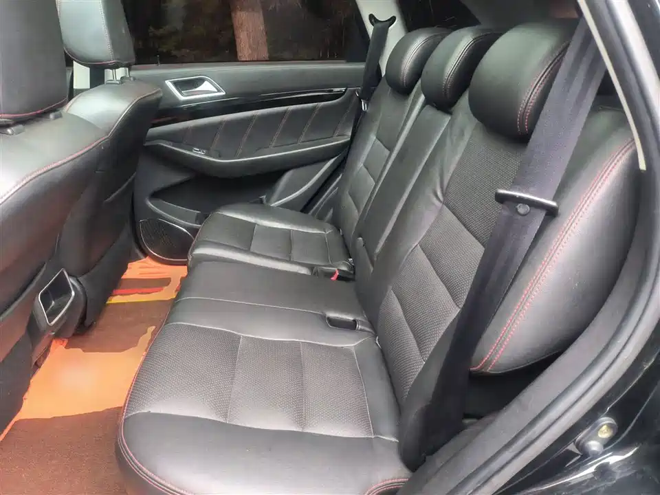 Leopaard Cheetah CS10