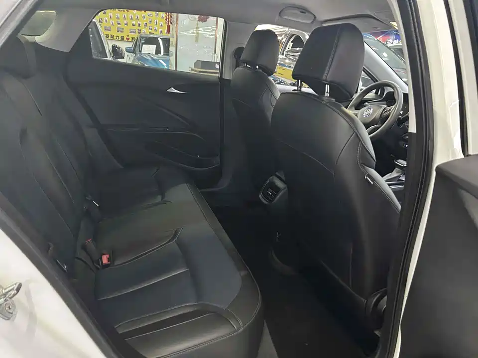 Buick Slightly blue 6