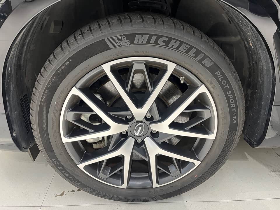 Trumpchi Trumpchi ES9