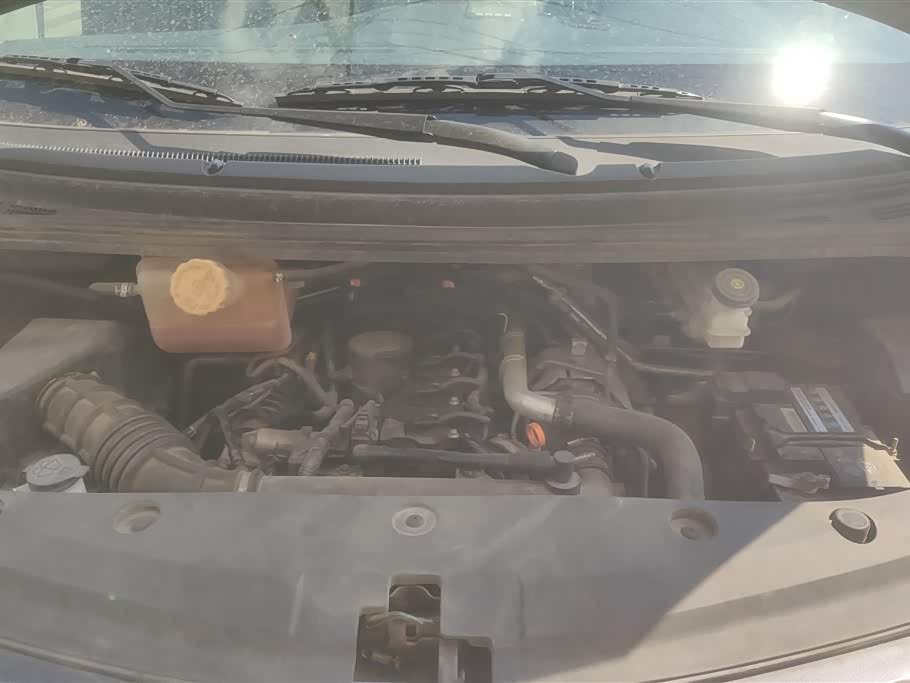 Forthing Lingzhi PLUS