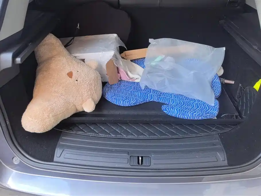 Roewe RX5 New energy