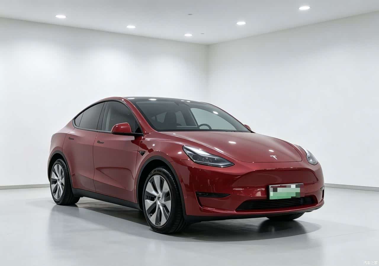 Tesla Model Y, 2021 3