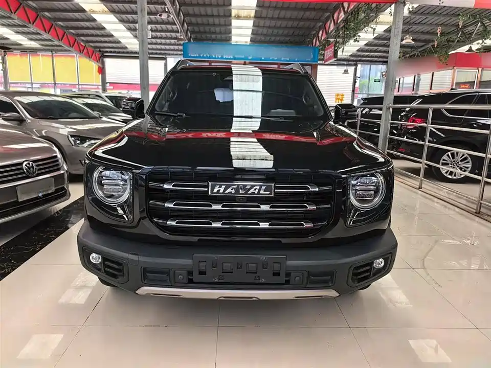 Haval Big dog