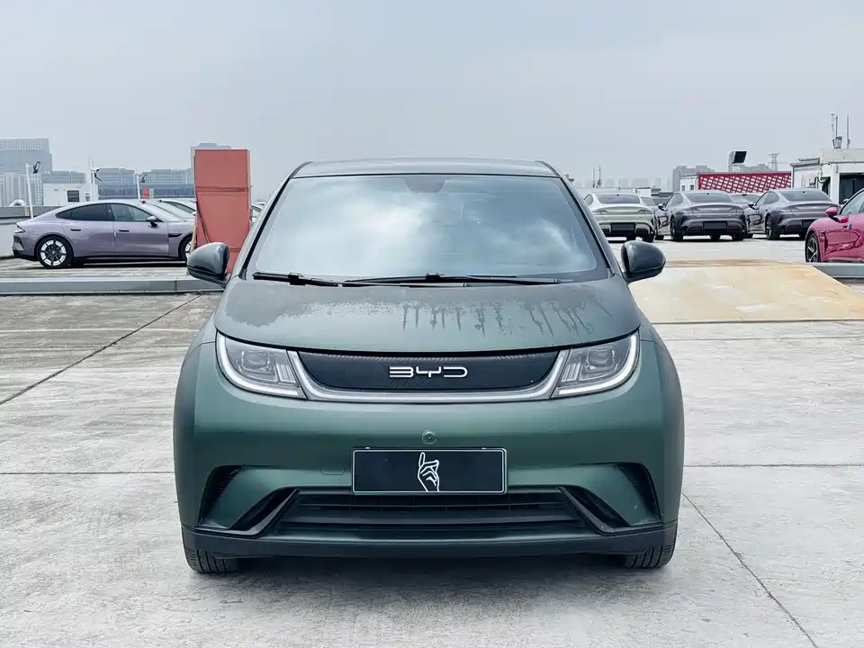 BYD dolphin BYD dolphin