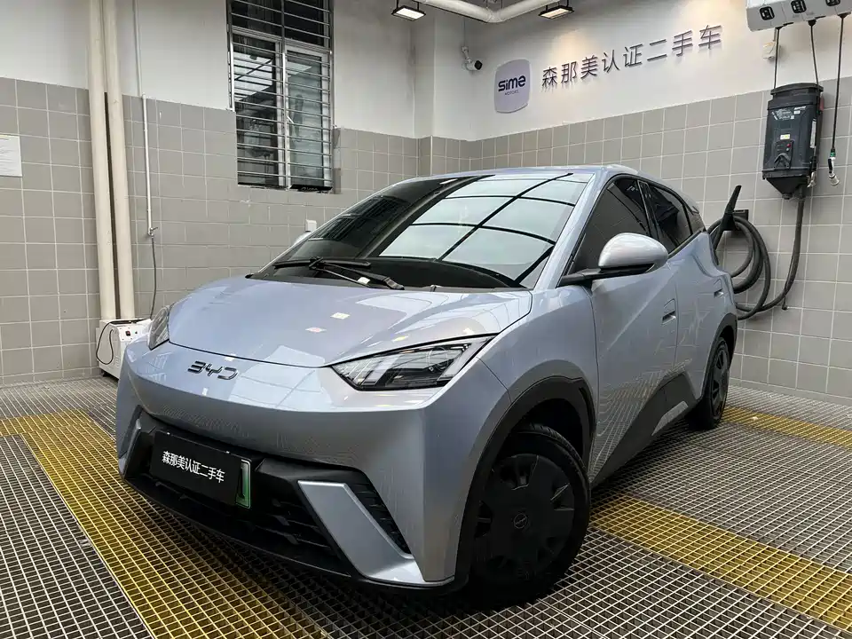 BYD Seagull