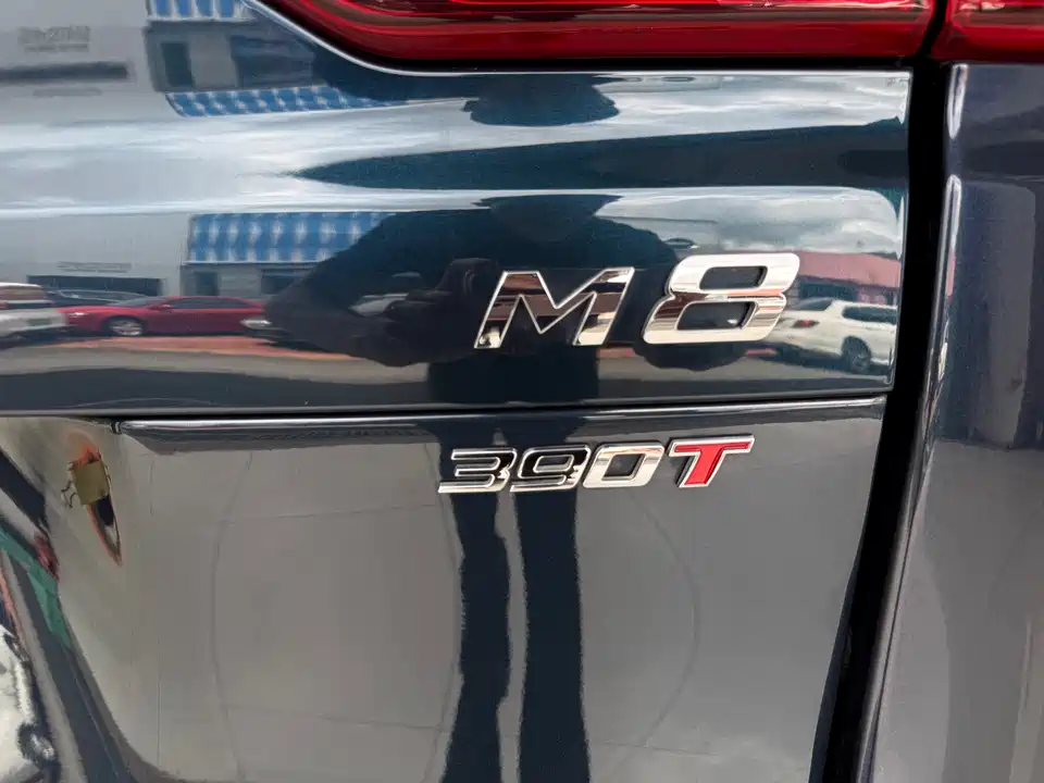 Trumpchi Trumpchi M8