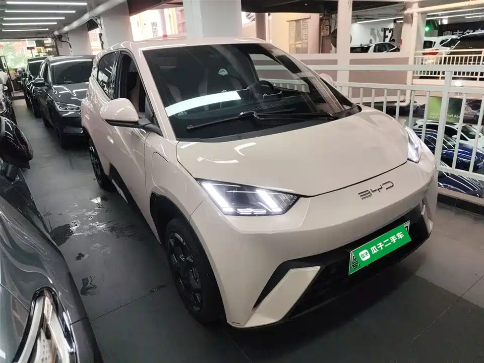BYD Seagull