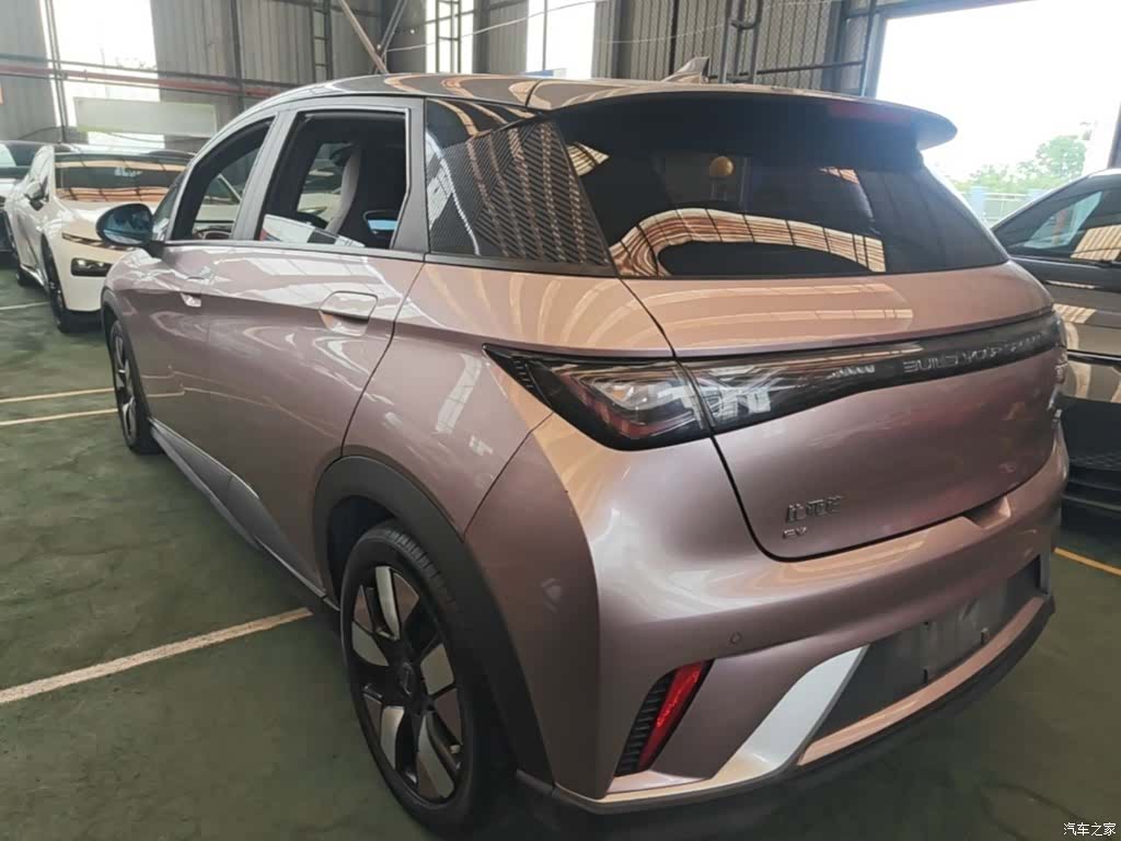 BYD Dolphin, 2022 все фото
