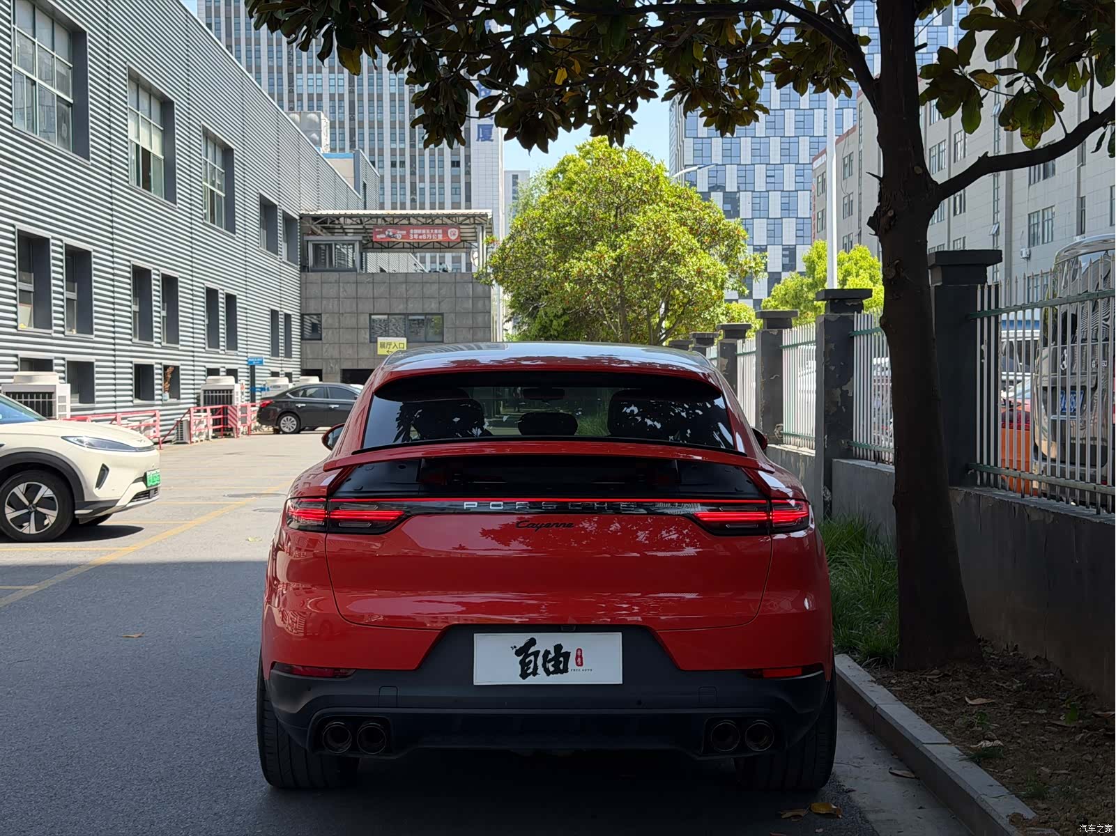 Porsche Cayenne, 2019 все фото