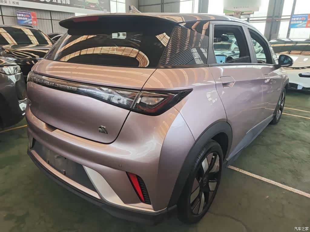 BYD Dolphin, 2022 7