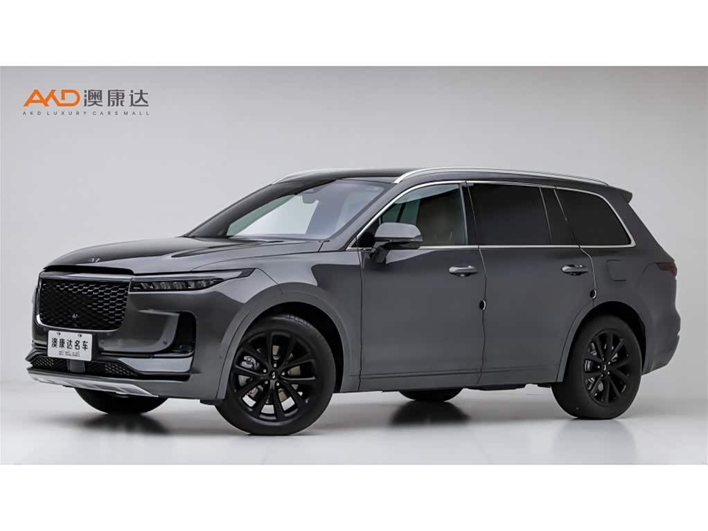 Li Auto ONE