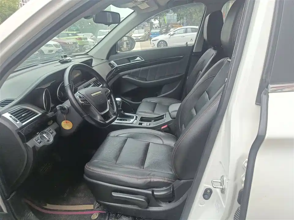 Leopaard Cheetah CS10