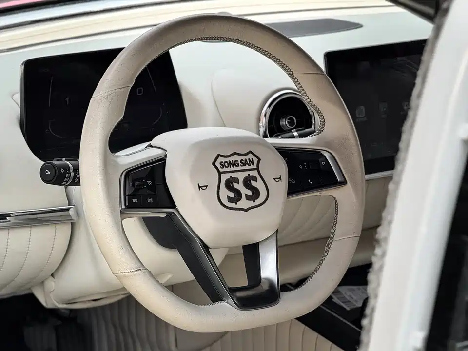 SsangYong SS DOLPHIN