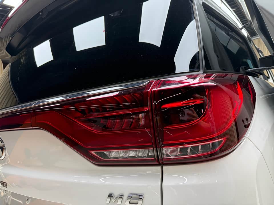 Trumpchi Trumpchi M8