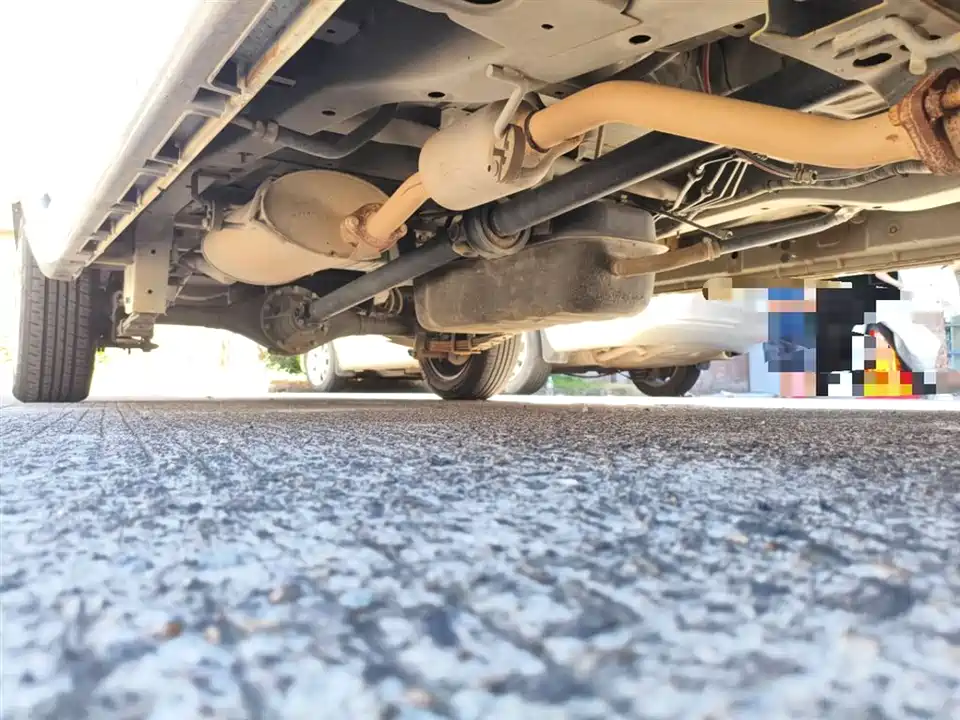 Jinbei Golden Sea Lion M Classic