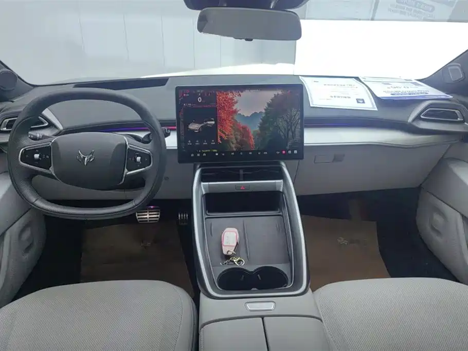 ARCFOX Polar Fox Alpha S5