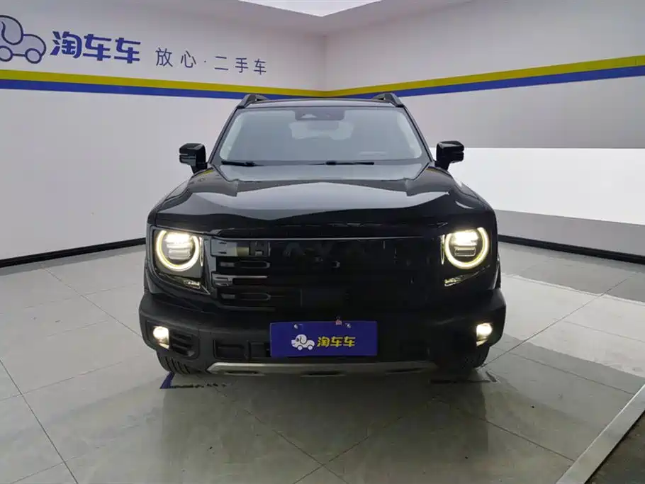 Haval Big dog