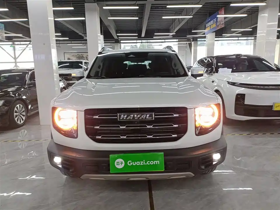 Haval Big dog