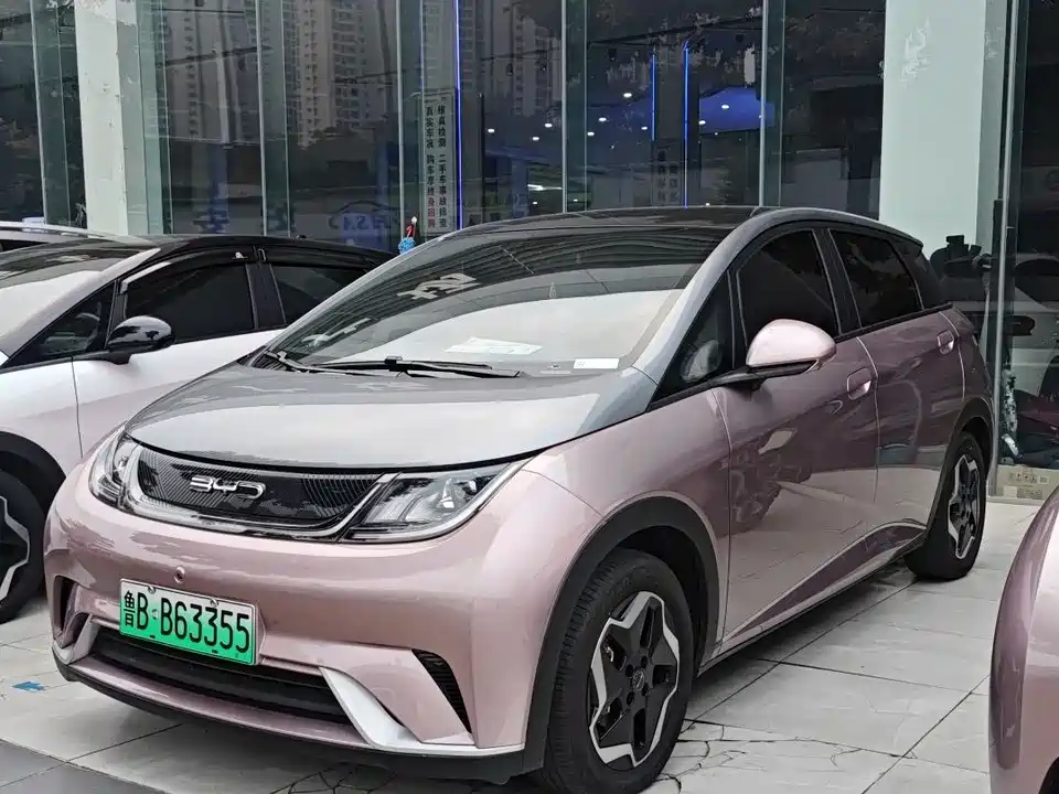 BYD dolphin