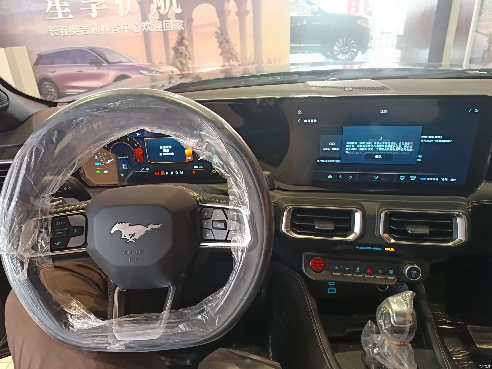 Ford Mustang, 2024 9