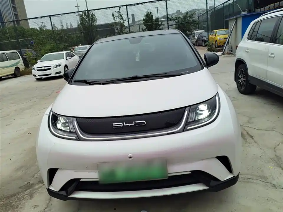 BYD dolphin