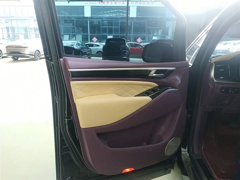 Trumpchi Trumpchi M8