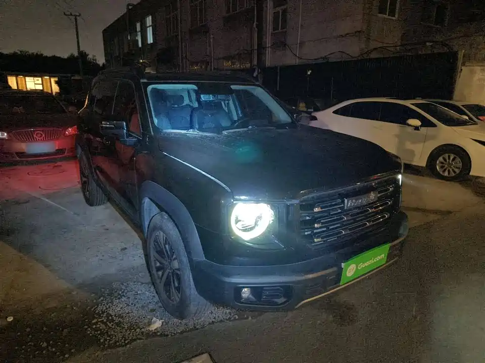 Haval Big dog