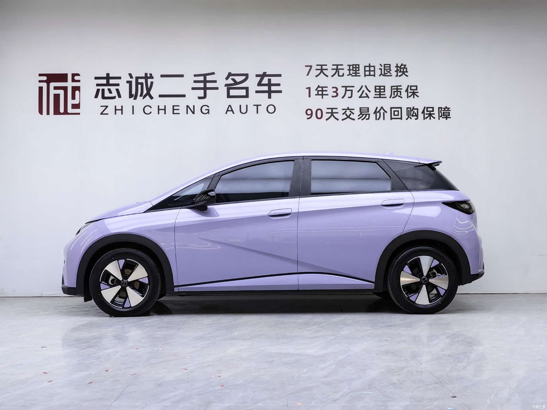 BYD Dolphin, 2024 все фото