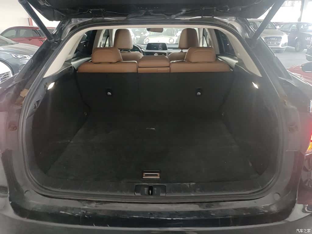 Lexus RX, 2021 19
