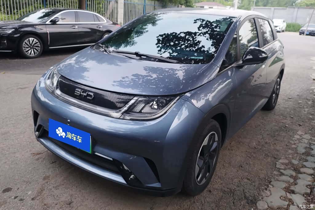 BYD Dolphin, 2024 1